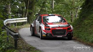 4. Rally Dolina Zelenega Zlata 2026 | On The Limit Moments