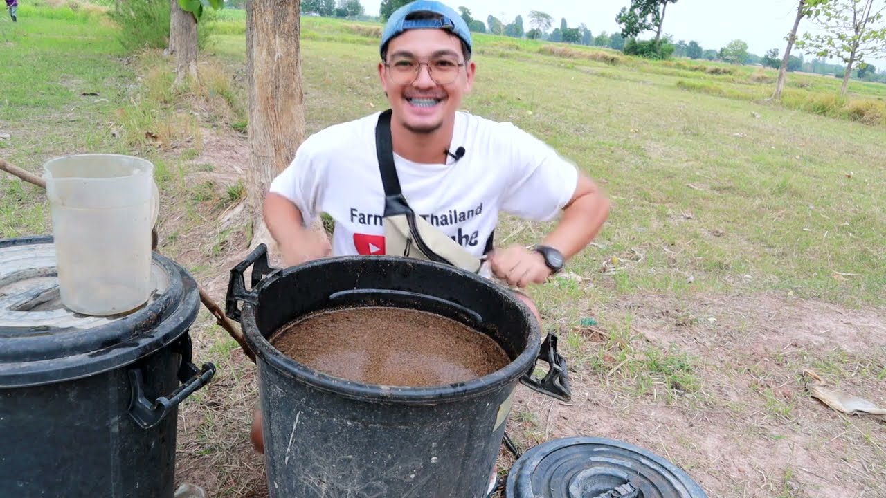น้ำหมักสูตรนี้! ใช้แทนปุ๋ยยูเรีย แต่มีประโยชน์มากกว่า เร่งใบเขียวช่วยตึงไนโตรเจน