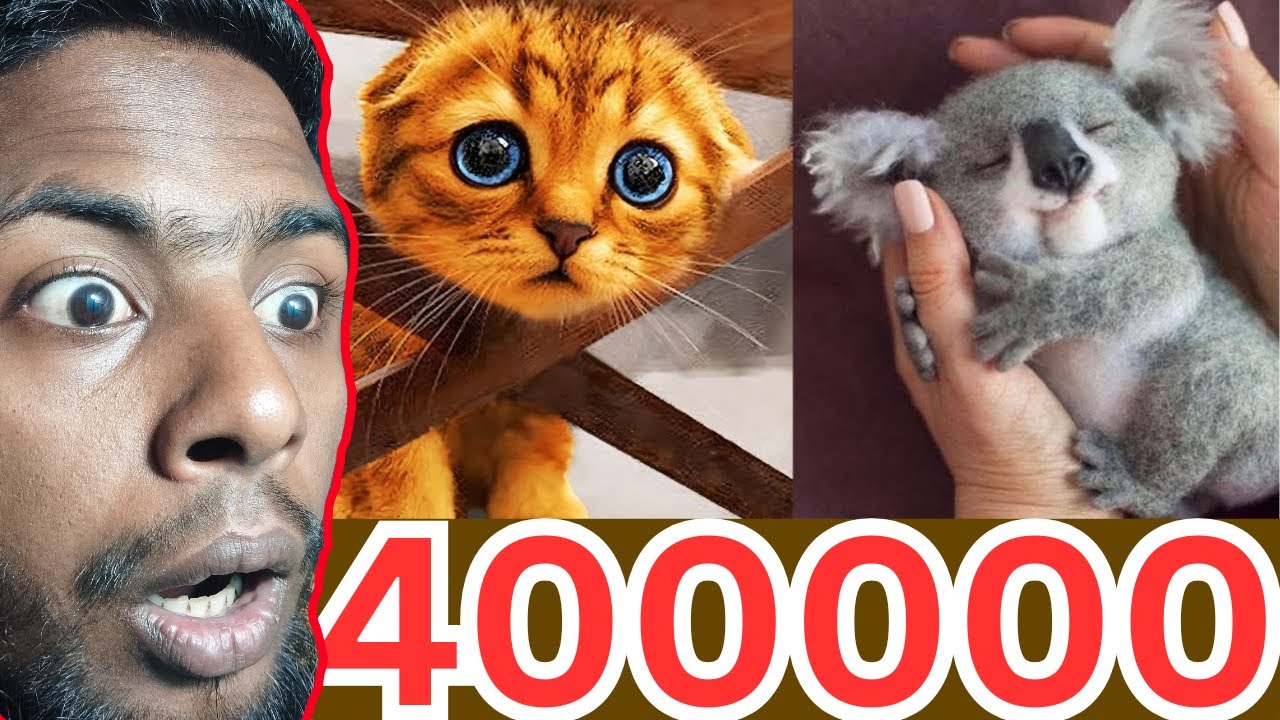 Most Cutest Animal in the World দেখে আমি অবাক! 🥹❤️ Reaction