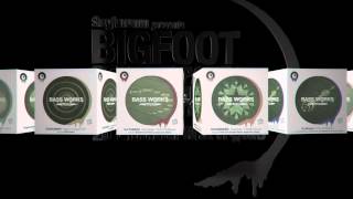 Sugiurumn presents "BIGFOOT" Release Party -BASS WORKS RECORDINGS 1st ANNIVERSARY-  at WOMB