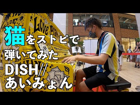 DISH//(あいみょん)の「猫」弾いてみた [ストリートピアノ]