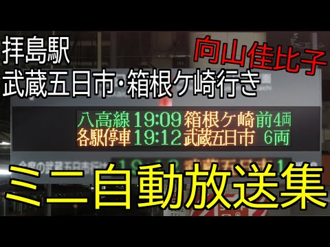 【向山佳比子】拝島駅　武蔵五日市・箱根ケ崎行き　ミニ自動放送集