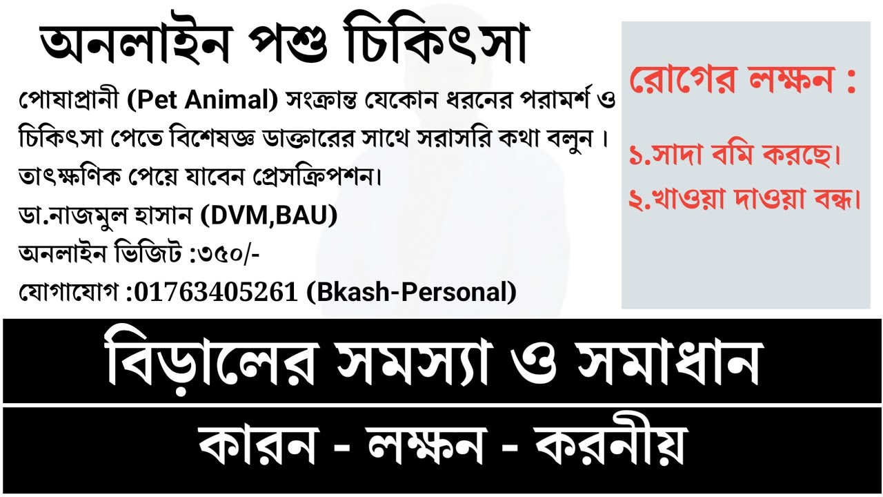 বিড়াল সাদা বমি করছে?জেনে নিন কি করতে হবে এ সময়ে?| Biraler sada bomi korle koronio
