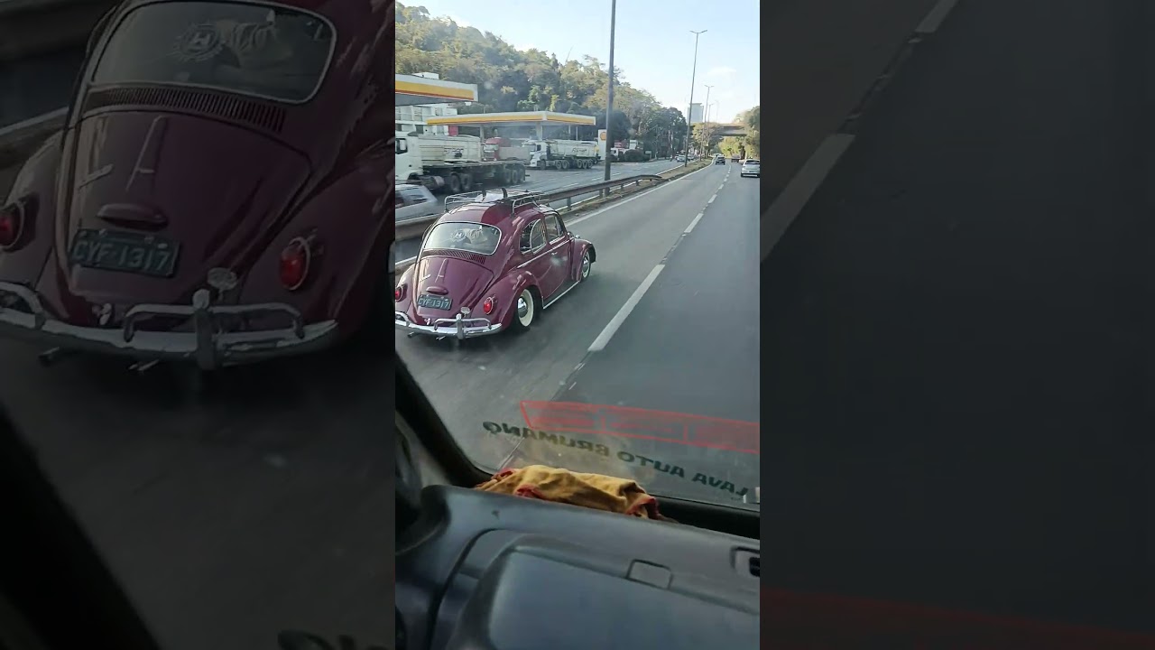 Fusca único 