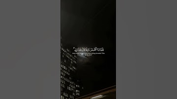 سورة الأنعام ...🩶ياسر الدوسري.