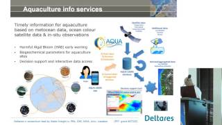 Copernicus Marine Service for marine environmental monitoring and more