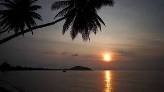 View of a golden sunset (free footage)