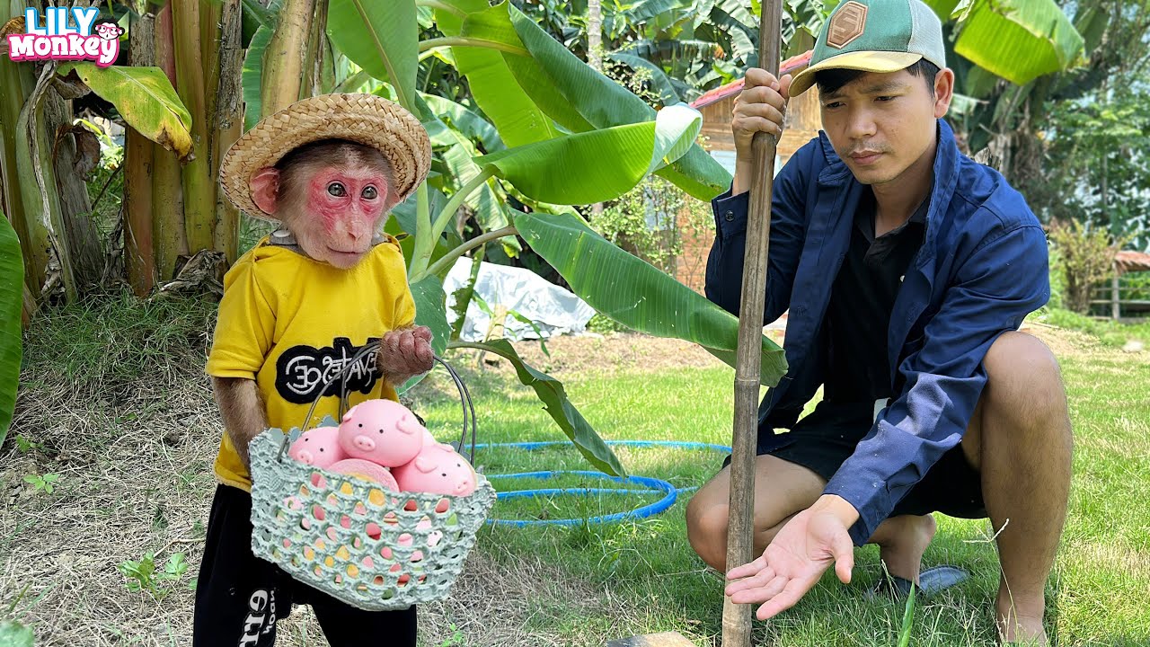 How sweet! Lily surprises her dad with a special cake while he's working | Lily's story