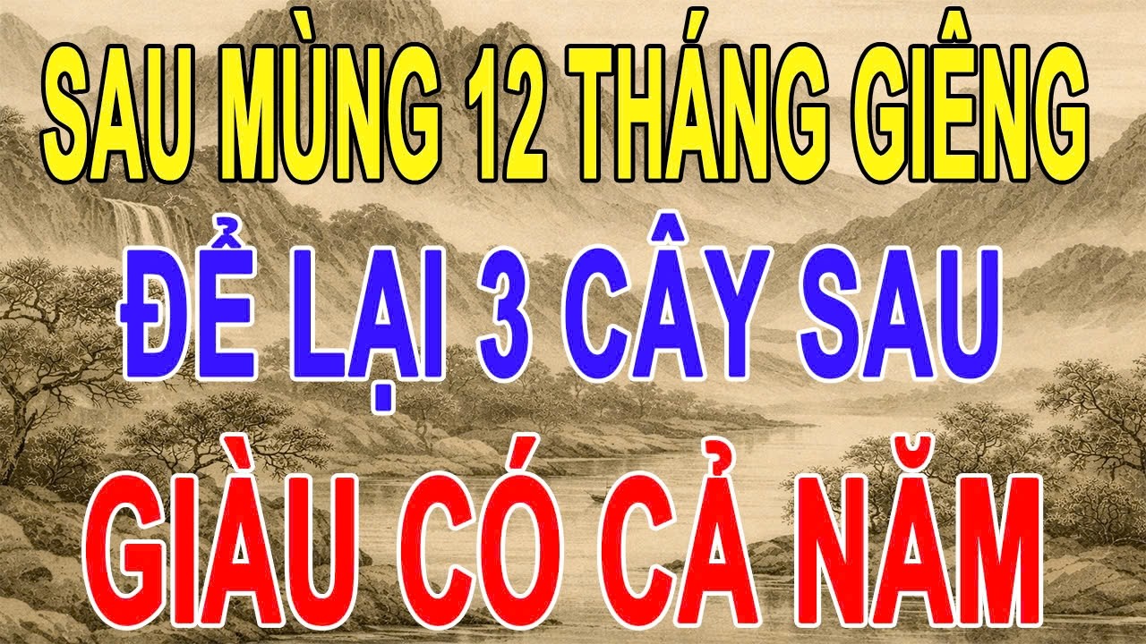 Vì Sao Sau Mùng 12 Không Nên Dọn Bỏ Cây Tết? Sự Thật Ít Người Biết