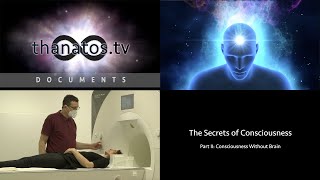 The Secrets of Consciousness | Part II: Consciousness Without Brain