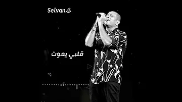 عمرو دياب اول يوم في البعد 