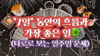 [타로]타로로 보는 일주일 운세(08.14~08.20)