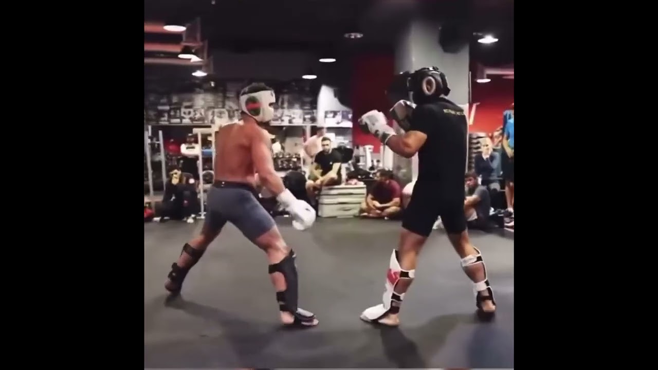 Conor McGregor BKFC Champion TKO Sparring Partners