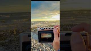POV: You scare the birds… and capture the perfect shot 📸