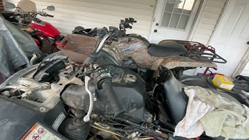 Strange Grizzly 660 No Power Issue