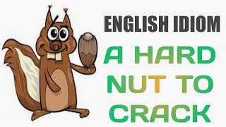English idiom : A hard nut to crack