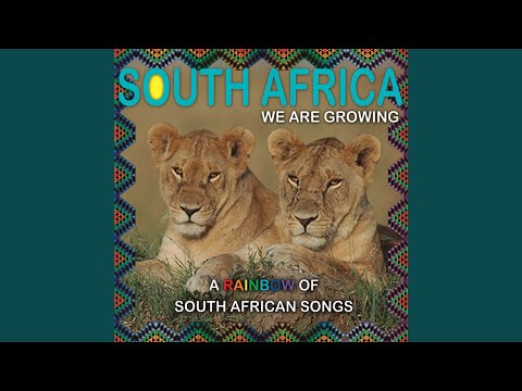 Alistair Izobell - Cape Town Party