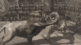 Catatan Sejarah Pertarungan Singa Vs Harimau