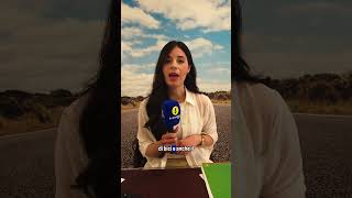 CENTRA VIAGGI E VACANZE A MANFREDONIA