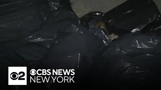 Mayor Adams responds to CBS News New York investigation into the "War on Rats"