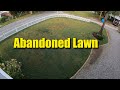Abandoned Lawn Renovation in Two Weeks