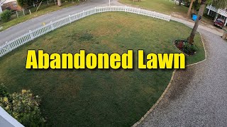 Abandoned Lawn Renovation in Two Weeks