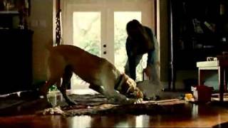 Marley & Me - Film1 Promo