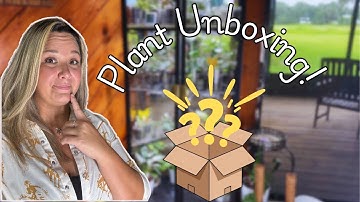 ✨Unbox Several Plants From TWO Different Sellers✨