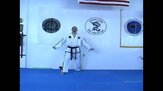 Tae Kwon Do Flying Front Snap Kick