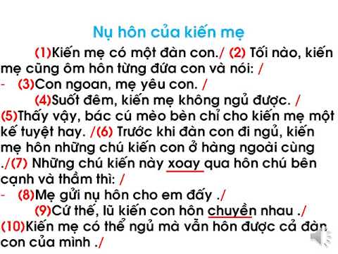 Tuần 35: Tiếng việt Ôn tập 2