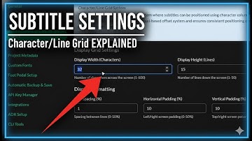 Subtitle Preview and Display Options Explained