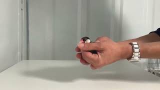 Réconforter Un Padda Apprivoisé