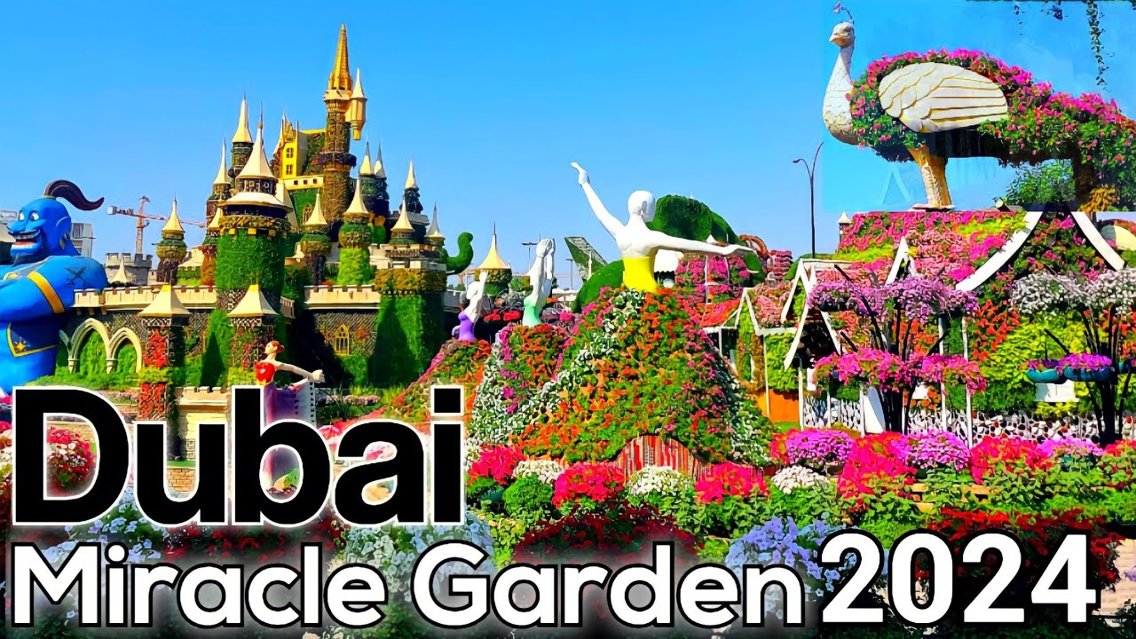 Dubai Miracle Garden Open Now 4k 2023