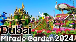 Dubai Miracle Garden Open Now|4K| 2023-2024 Season 12 🇦🇪