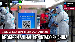 Qué Sabemos De Langya El Nuevo Virus Reportado En China? I Imagen Digital