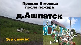 Прошло 3 месяца после трагедии в д.Ашпатск.