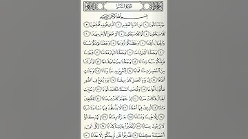 سورة النبأ | علي الحذيفي