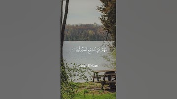 وما أهلكنا من قرية إلا لها منذرون 📖#القرآن_الكريم #سورة_الشعراء #تدبر #موعظة #آيات_من_القرآن
