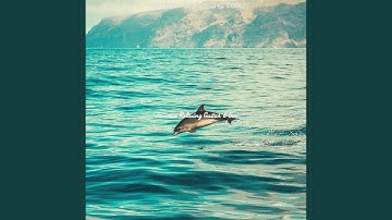 Remarkable Backdrops for Resting Easy