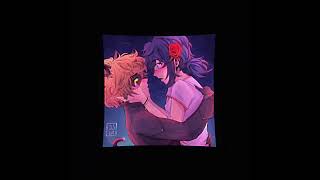cat noir x marinette