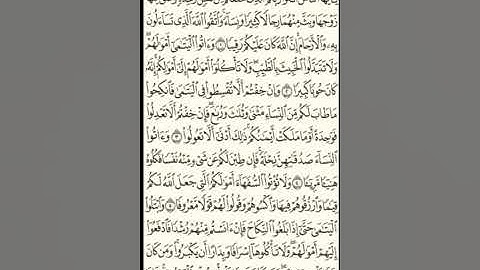 سورة النساء آية 1 - 6 بصوت القارئ محمود مؤمن
