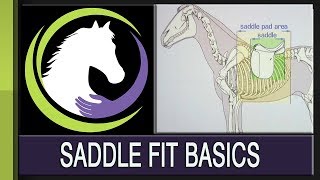 Saddle Fit Basics: Protecting Your Horse From Ill Fitting Tack