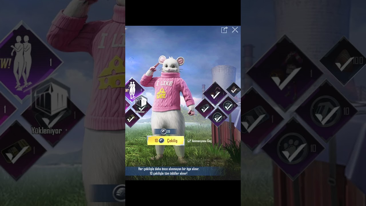 BIG PERKS DAY  etkınliği