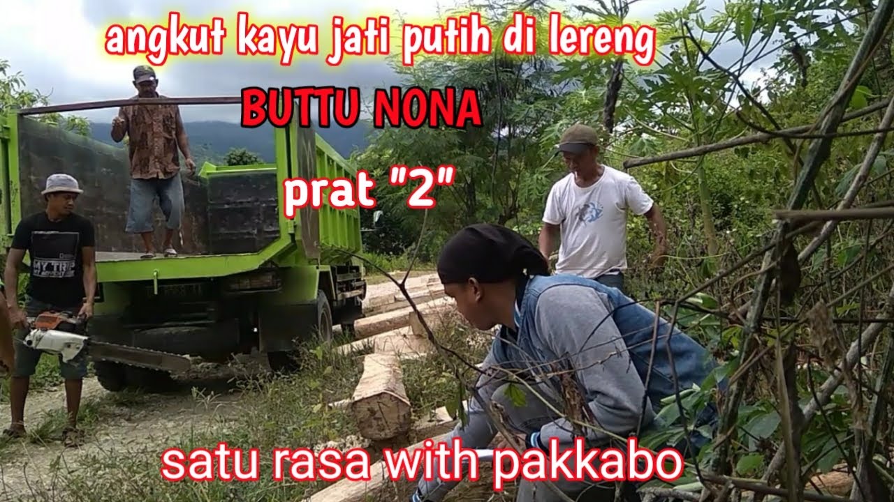 Angkut kayu jati putih  di lereng BUTTU NONA SATURASA 