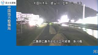 根谷川 新川橋空間(YouTubeライブ) のライブ映像