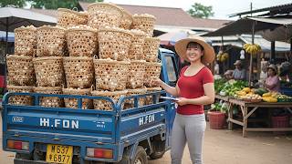 Download Lagu REWIND TIMELAPSE — Harvesting Tons of Chicken Eggs 🚚 3-Wheeled Truck to Countryside Market MP3