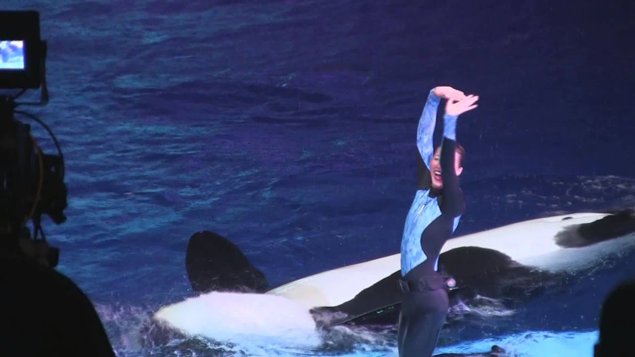 Shamu christmas miracles video