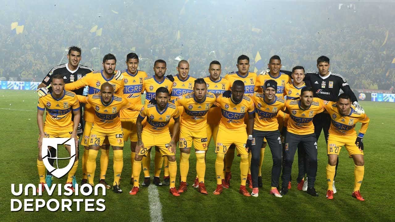 Como se hacen los tigres