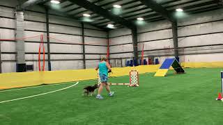 Edward very first agility run FEO FAST
