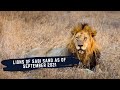 THE LIONS OF SABI SANDS - EPISODE 6 - THE LION DYNAMICS OF THE SABI SANDS - SEPTEMBER 2021 UPDATE